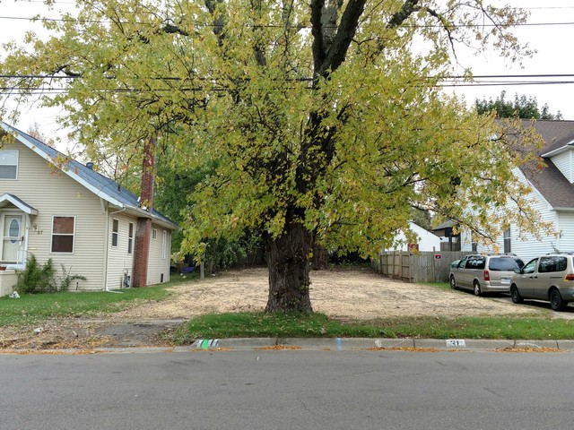 31 Caine St
